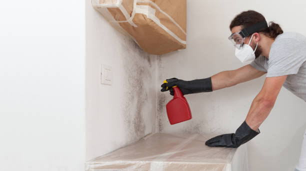 Attic Mold Remediation treatment on roof deck in West New York