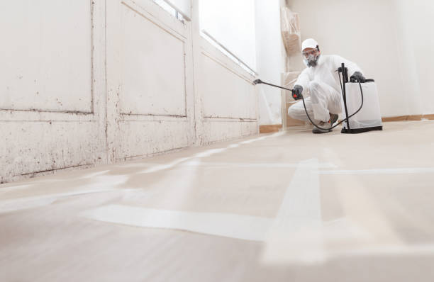 Post-remediation clearance in West New York
